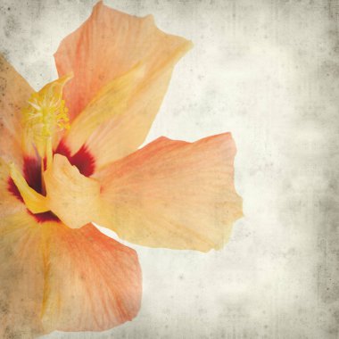 desenli eski kağıt arkaplan  