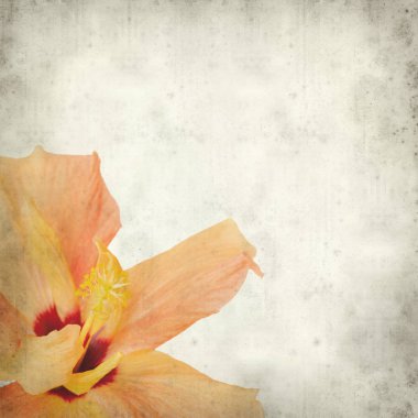 desenli eski kağıt arkaplan  