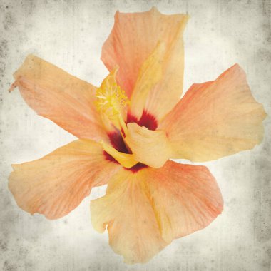 desenli eski kağıt arkaplan  