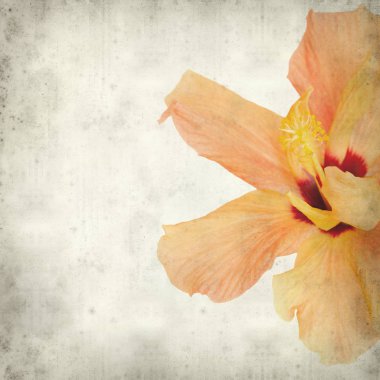 desenli eski kağıt arkaplan  