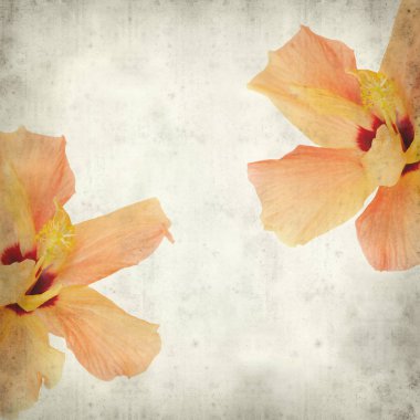 desenli eski kağıt arkaplan  