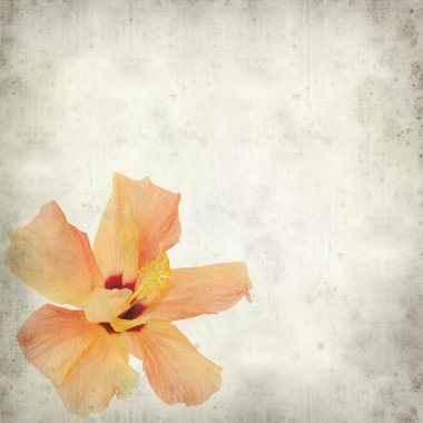 desenli eski kağıt arkaplan  