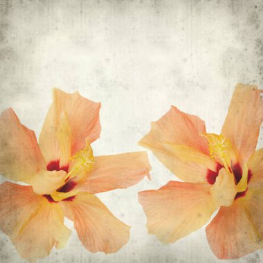 desenli eski kağıt arkaplan  