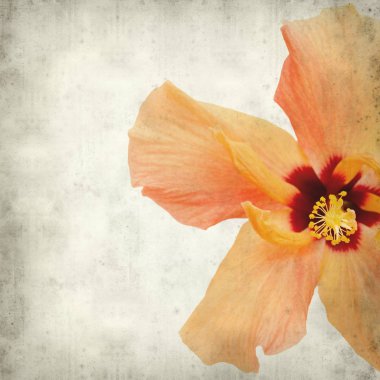 desenli eski kağıt arkaplan  