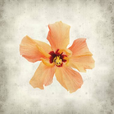 desenli eski kağıt arkaplan  