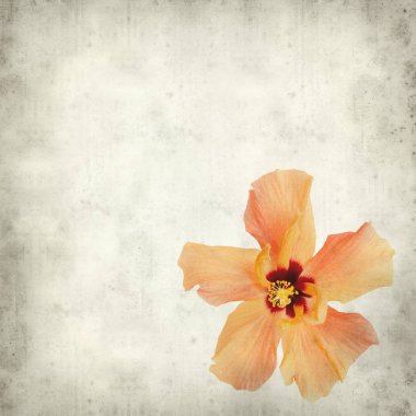 desenli eski kağıt arkaplan  