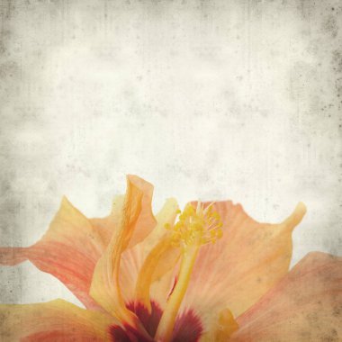 desenli eski kağıt arkaplan  