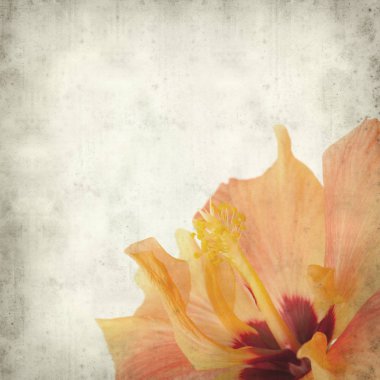 desenli eski kağıt arkaplan  