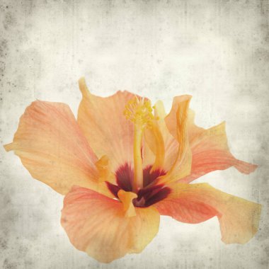 desenli eski kağıt arkaplan  