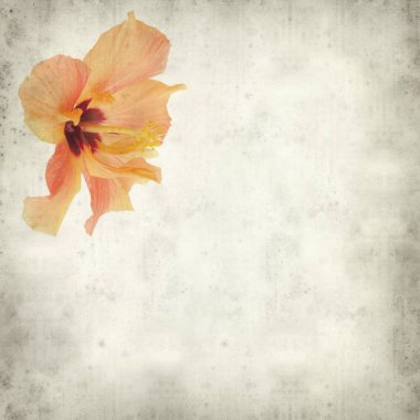 desenli eski kağıt arkaplan  