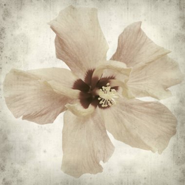 desenli eski kağıt arkaplan  