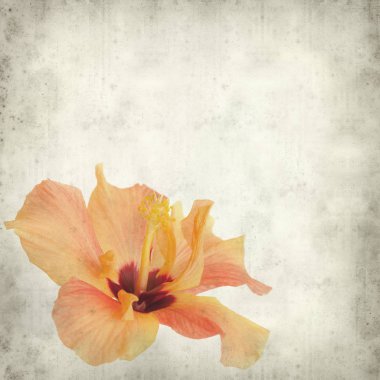 desenli eski kağıt arkaplan  