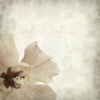 desenli eski kağıt arkaplan  