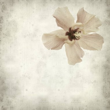 desenli eski kağıt arkaplan  