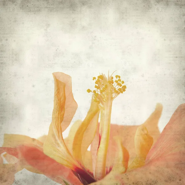 desenli eski kağıt arkaplan  