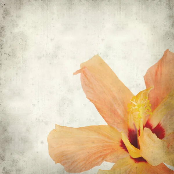 desenli eski kağıt arkaplan  