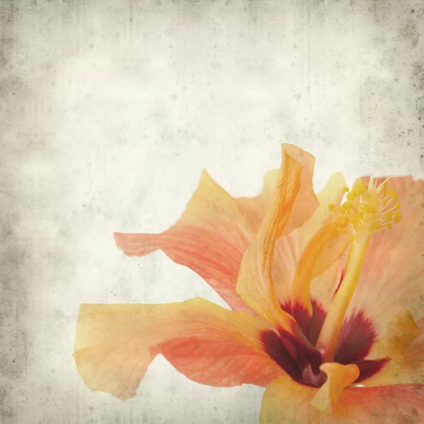 desenli eski kağıt arkaplan  