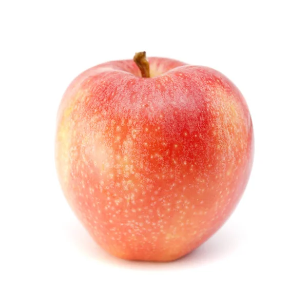 Manzana roja única en blanco — Foto de Stock