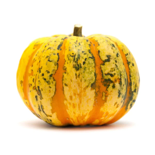 Ornamental pumpkin on white — Stock Photo, Image