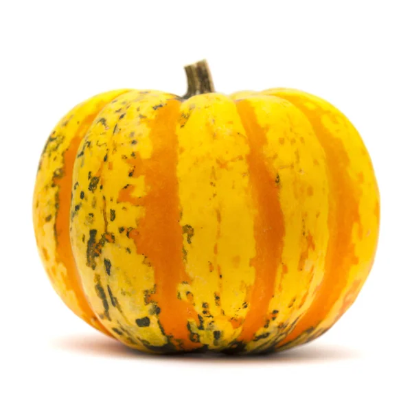 Ornamental pumpkin on white — Stock Photo, Image