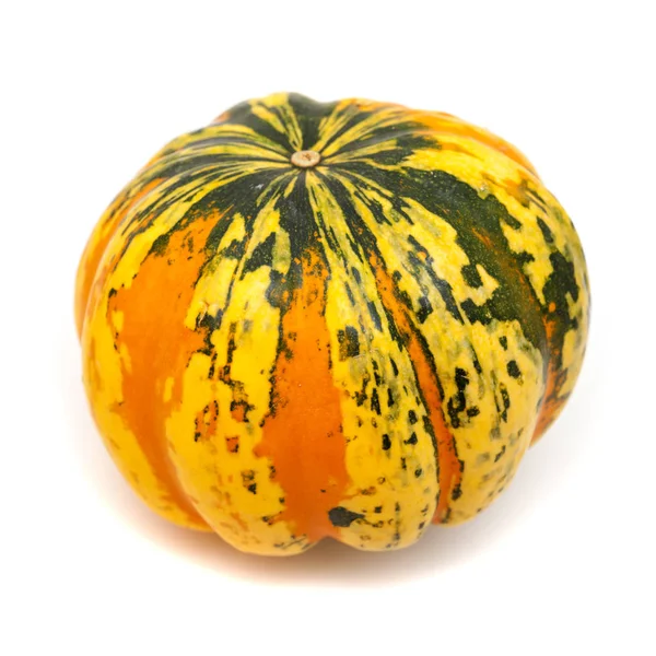 Ornamental pumpkin on white — Stock Photo, Image