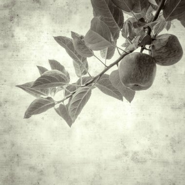  Eski kağıt arkaplan