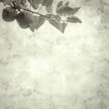  Eski kağıt arkaplan