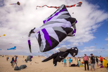 Fuerteventura Uçurtma Festivali