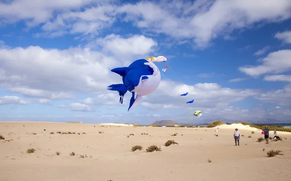 Festival degli aquiloni di Fuerteventura — Foto Stock