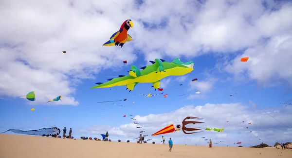 Fuerteventura Uçurtma Festivali — Stok fotoğraf