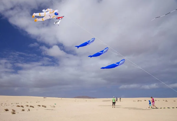 Fuerteventura Uçurtma Festivali — Stok fotoğraf