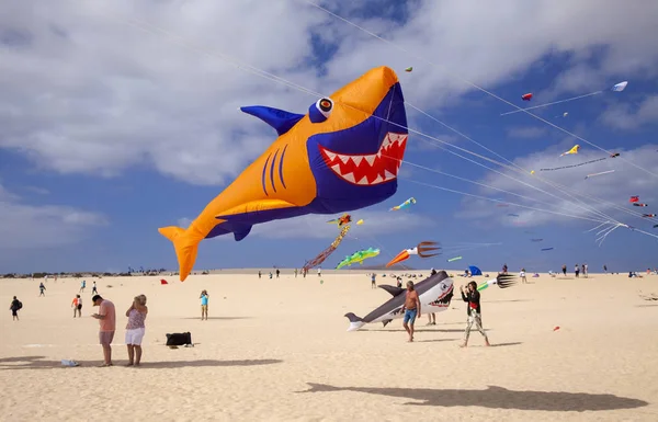 Fuerteventura Uçurtma Festivali — Stok fotoğraf