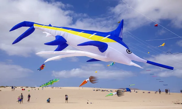 Fuerteventura Kite Festival — Stock fotografie