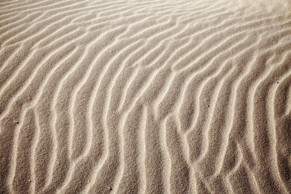 Sable et modèles de vent — Photo