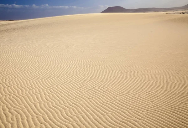 Sand and wind patterns — Stock Photo, Image