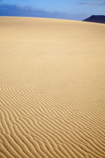 Песок и ветер — стоковое фото