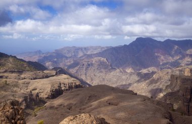 Büyük Kanarya, Kasım
