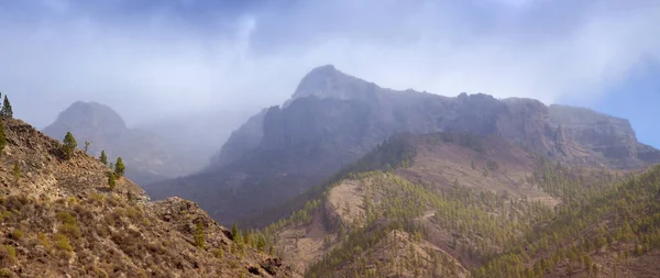 Gran Canaria, noviembre — Foto de Stock