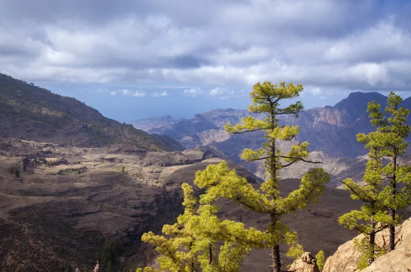 Gran Canaria, listopad — Zdjęcie stockowe