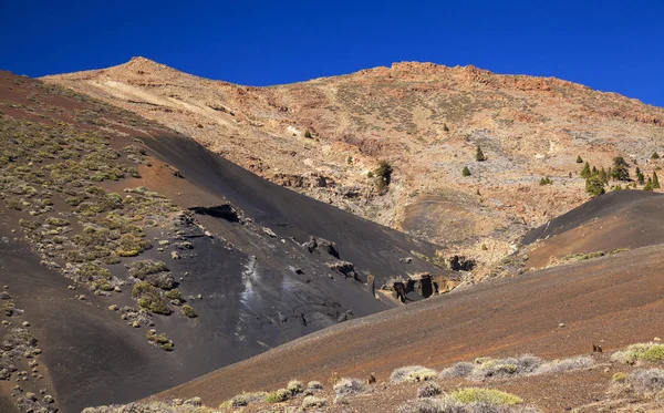 Teneriffa, Vilaflor kommun landskap — Stockfoto