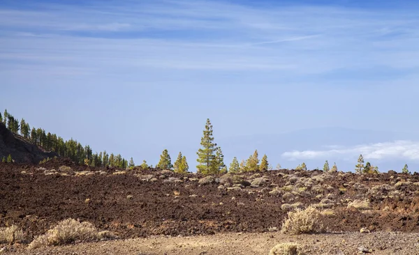 Tenerife, pohled na severozápad — Stock fotografie