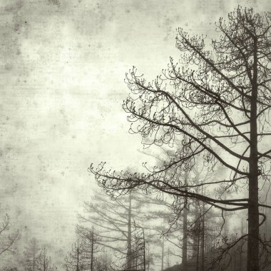  Eski kağıt arkaplan