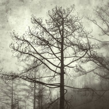  Eski kağıt arkaplan