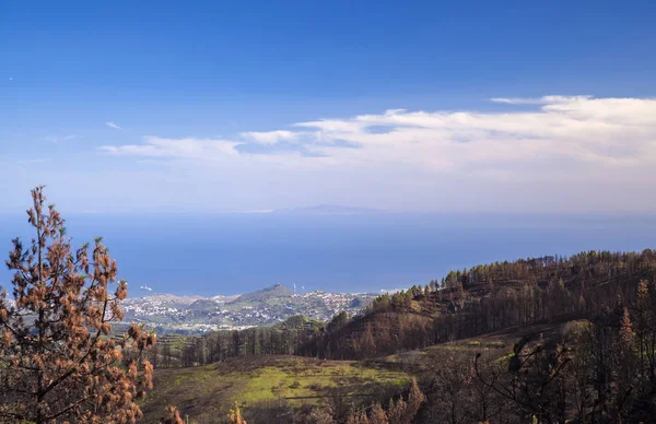 Gran Canaria, november – stockfoto