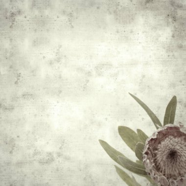  Eski kağıt arkaplan