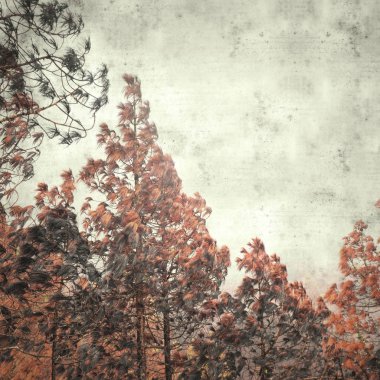  Eski kağıt arkaplan