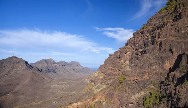 Gran Canaria, november — Stockfoto