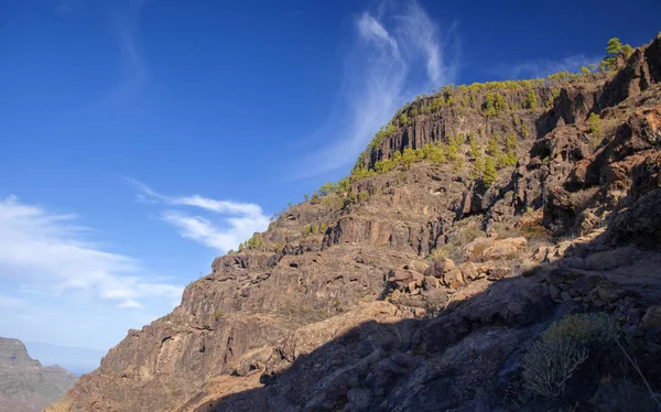 Gran Canaria, November — Stock Photo, Image