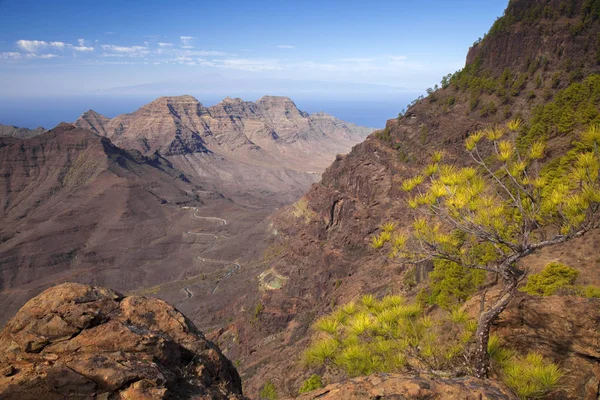 Gran Canaria, noviembre —  Fotos de Stock