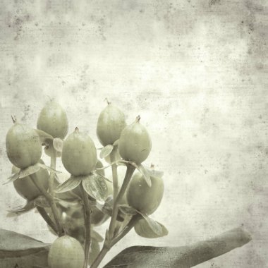  Eski kağıt arkaplan